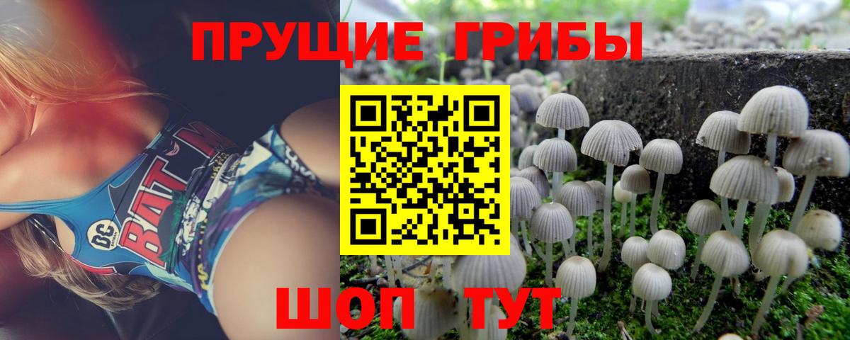 Псилоцибиновые грибы ЛСД Южно-Сахалинск
