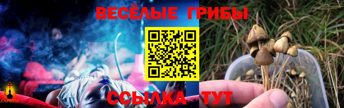 Южно-Сахалинск  Псилоцибиновые грибы Magic Shrooms  Вход с VPN  Галлюциногенные грибы мухоморы 