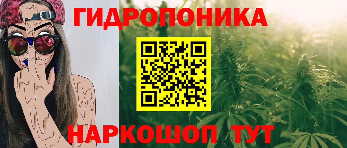 Канабис Ganja  Каннабис план  Марихуана THC 21%  Южно-Сахалинск  Вход с VPN 